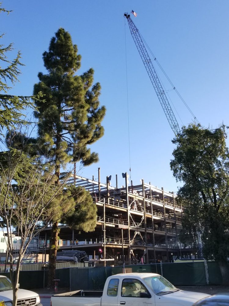 Progress on the new IMOB, future home of El Camino Women's Medical Group