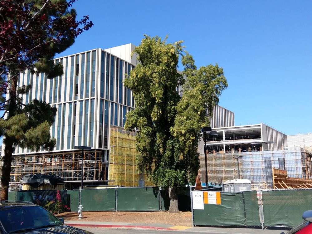 Progress on the new IMOB, future home of El Camino Women's Medical Group
