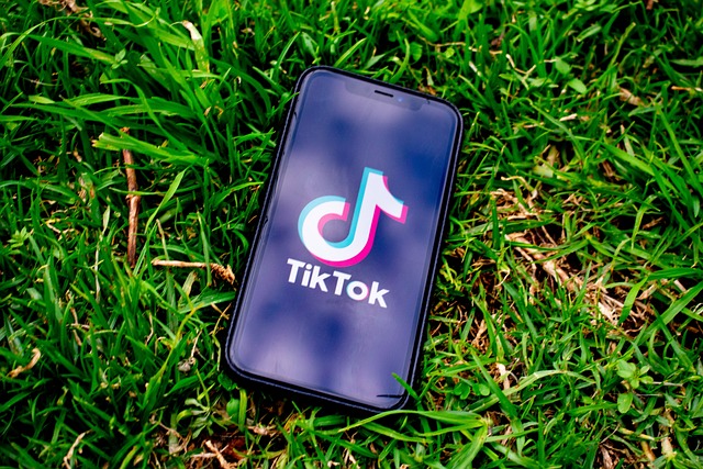 Image of a phone lying in the grass. Tik Tok logo and name show on the screen.